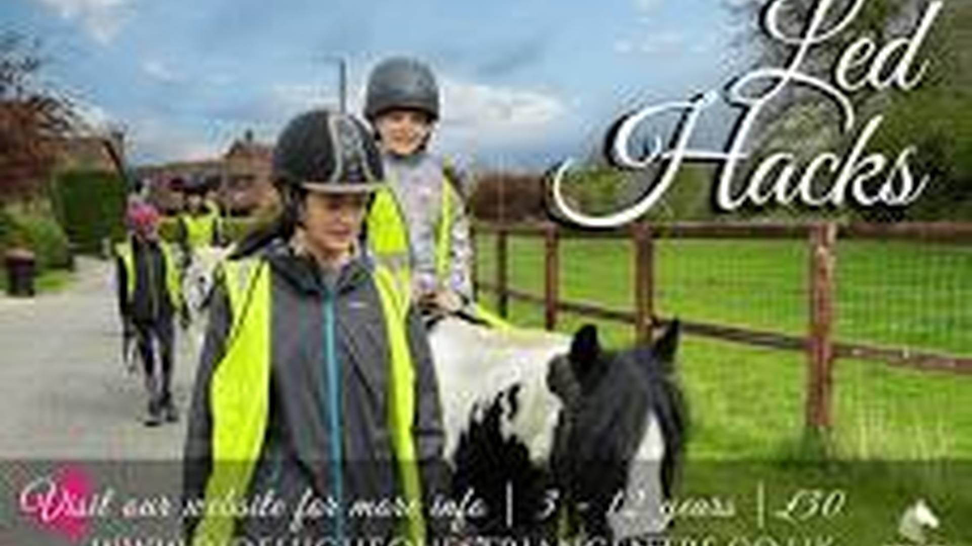 Led Hack (Pony Ride) photo