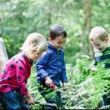 Forest Kindergarten Sevenoaks logo