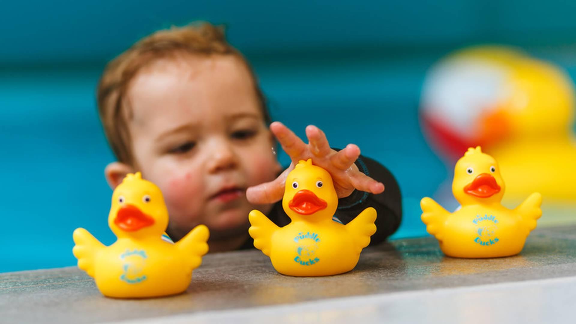 Puddle Ducks photo