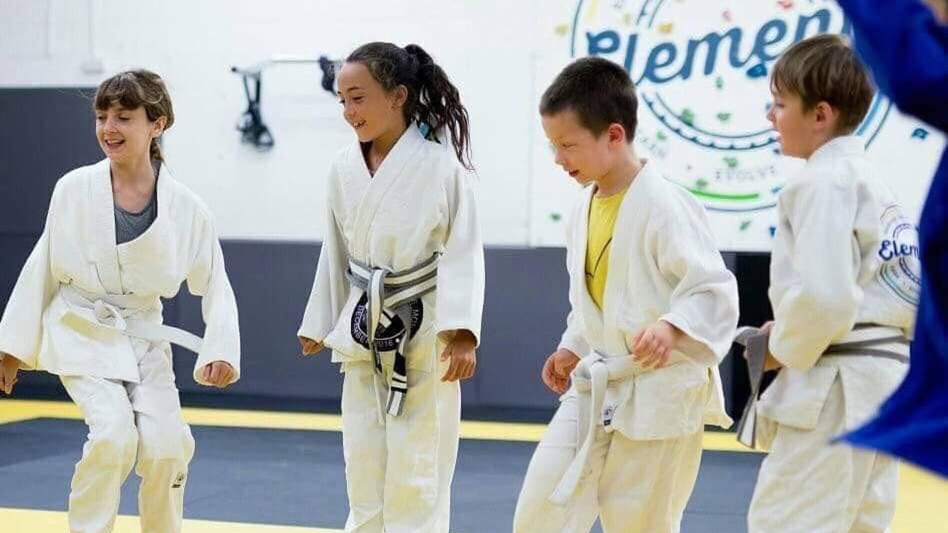 Elements Martial Arts Lewes photo