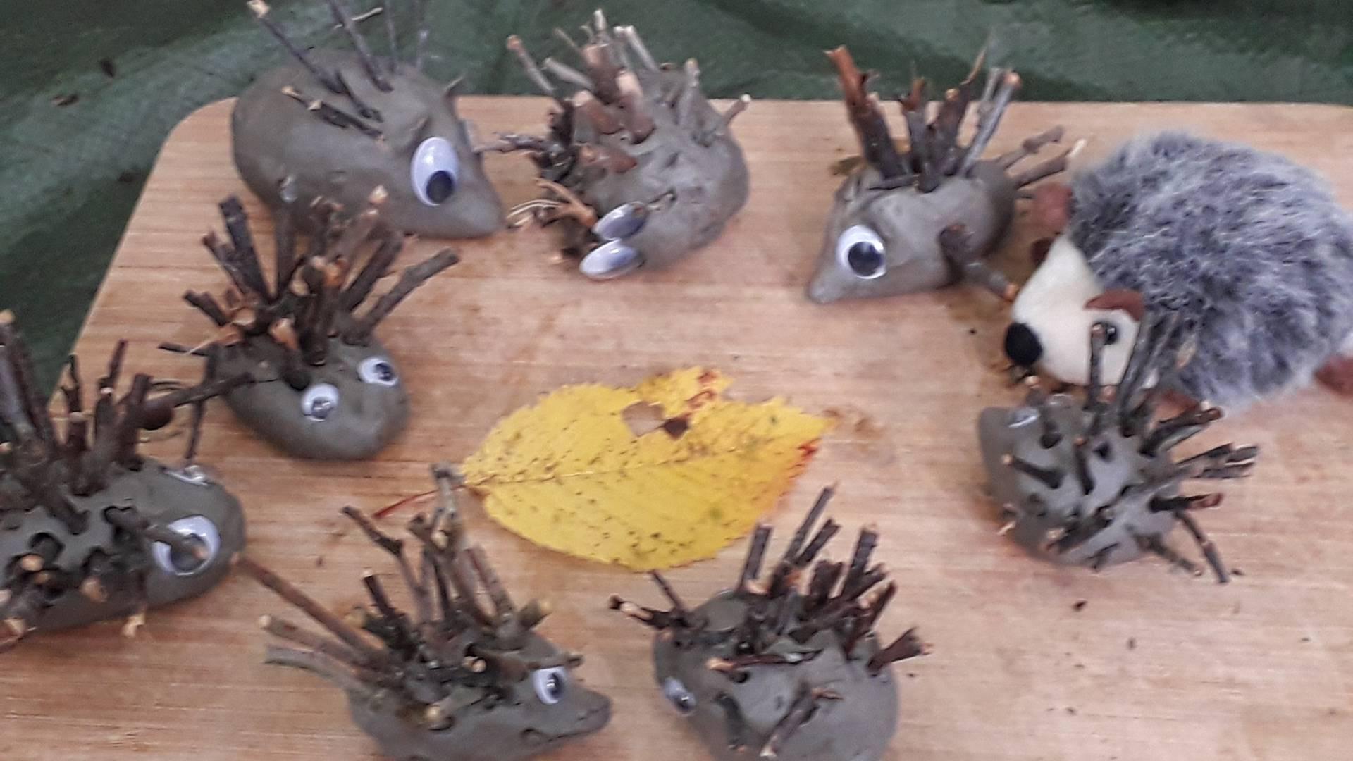 Two Hoots Forest School and Outdoor Learning photo