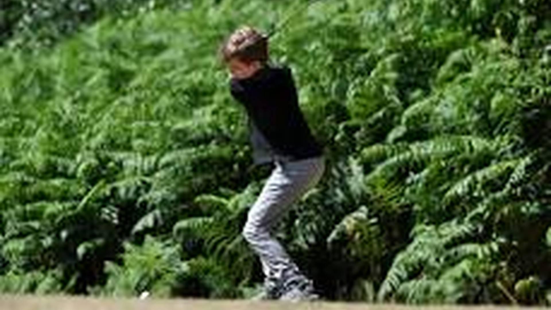Junior Patrons Competition No 5 photo