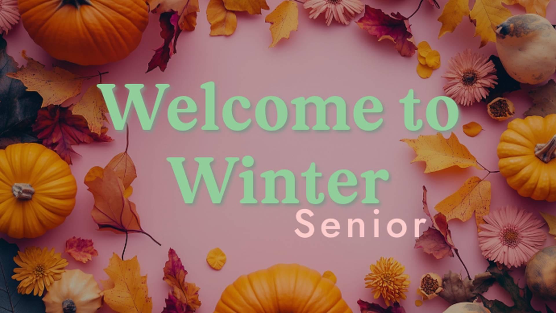 Welcome to Winter (Senior Workshop - 12-18 years) photo