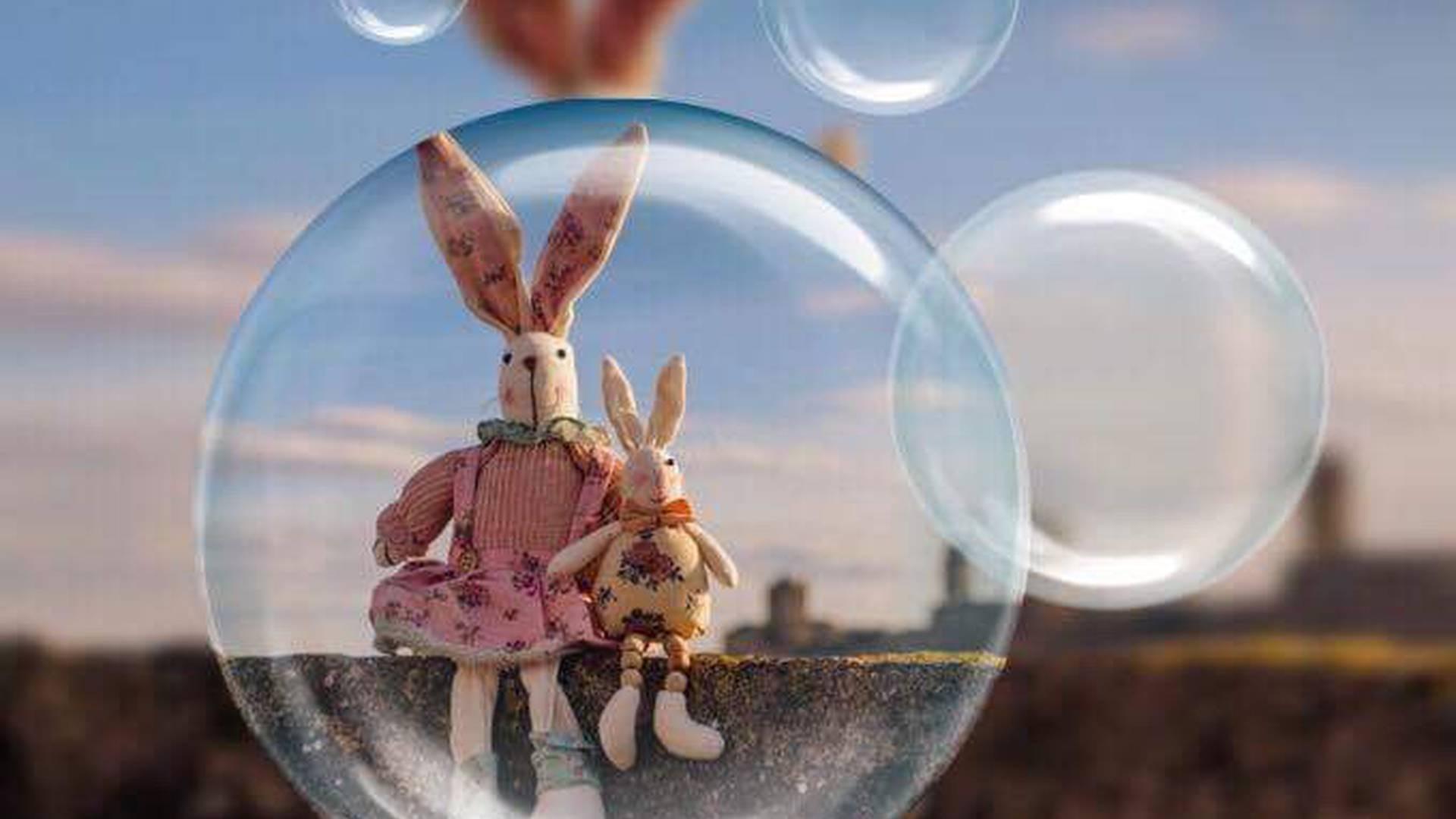 Bopping bunnies photo
