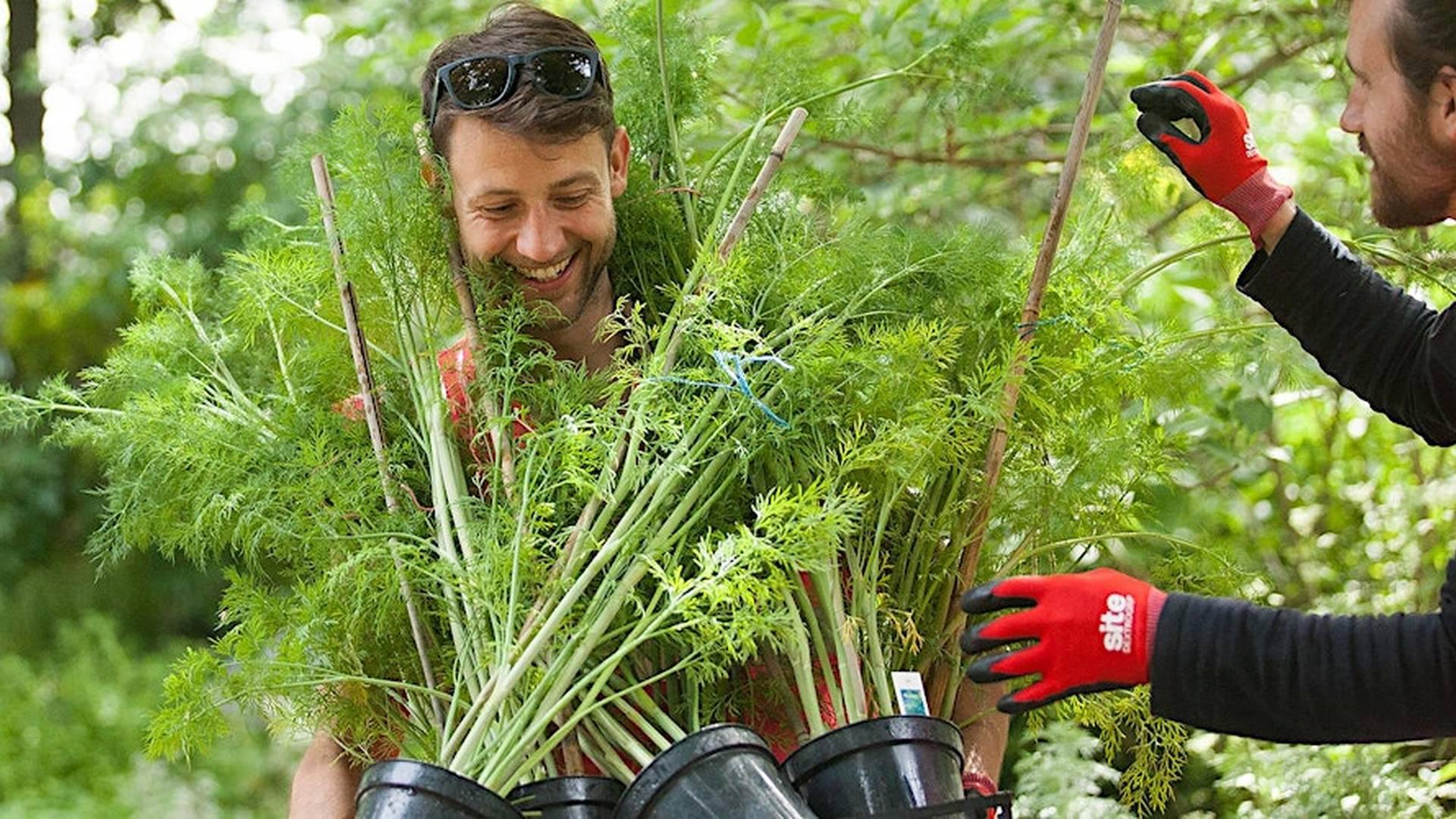Plant Rescue & Story telling with Wayward photo