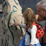 Activity image