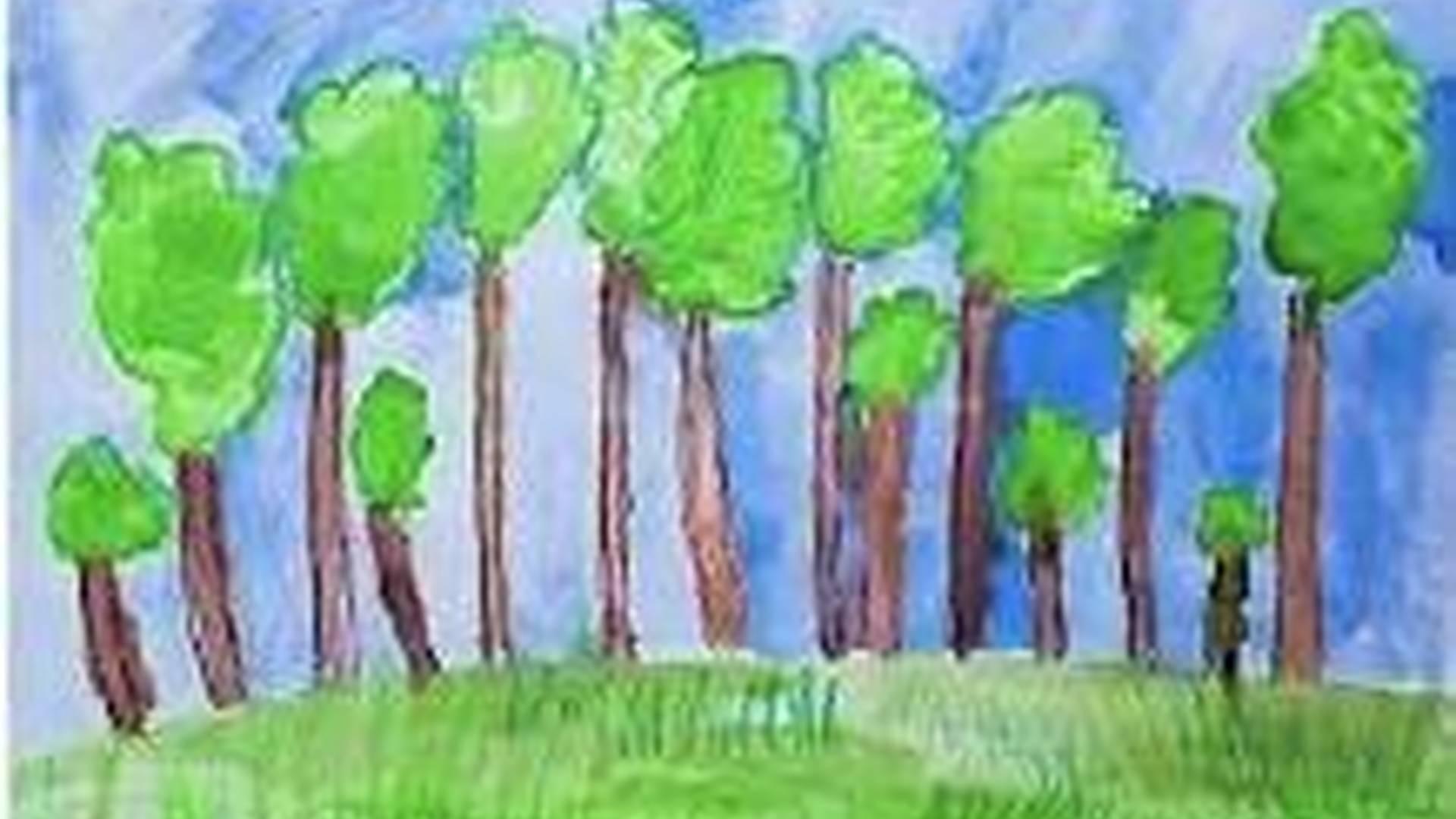 Forest Fun - Early Years photo