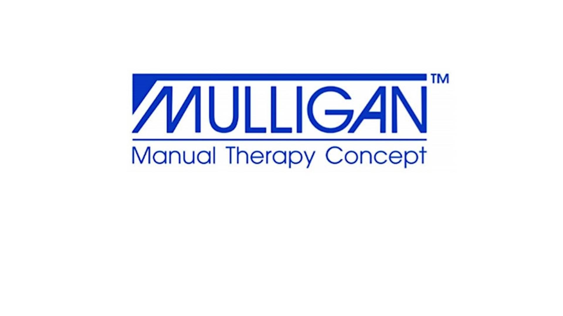 Mulligan Manual Therapy Concept - The Upper Quadrant  (Part A) photo