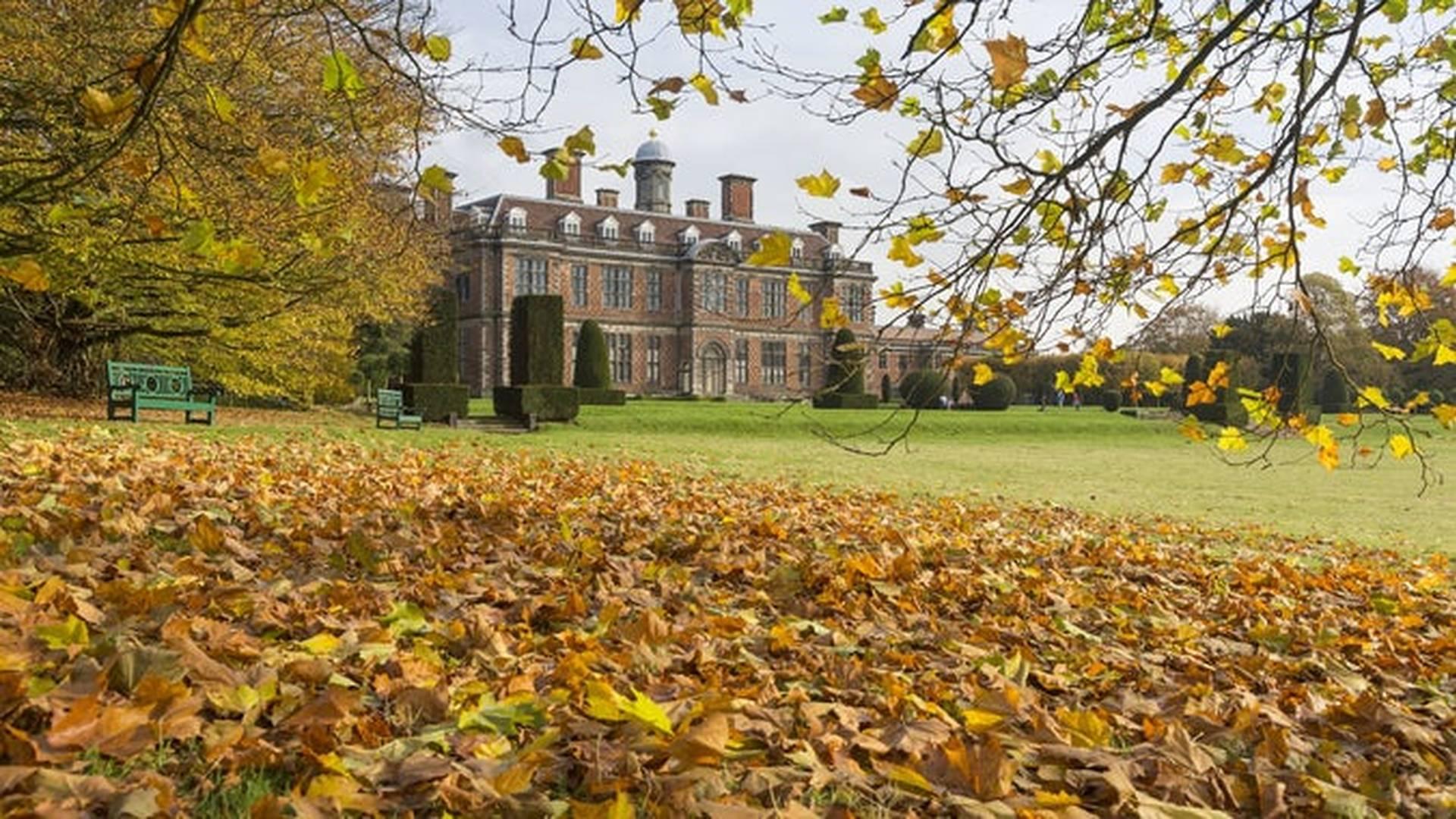 Escape Into Autumn At The Children's Country House At Sudbury photo