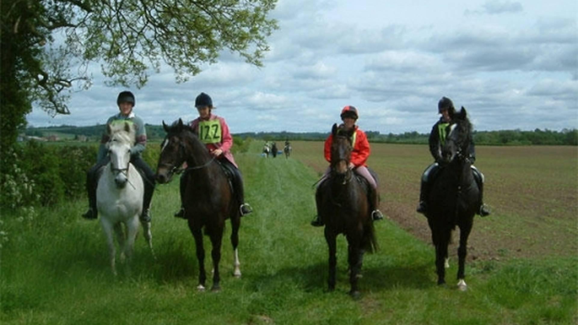 Cross Country Hire At Thornton Lodge Farm photo