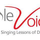 Little Voices logo