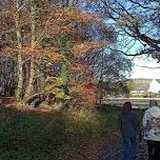 Activity image