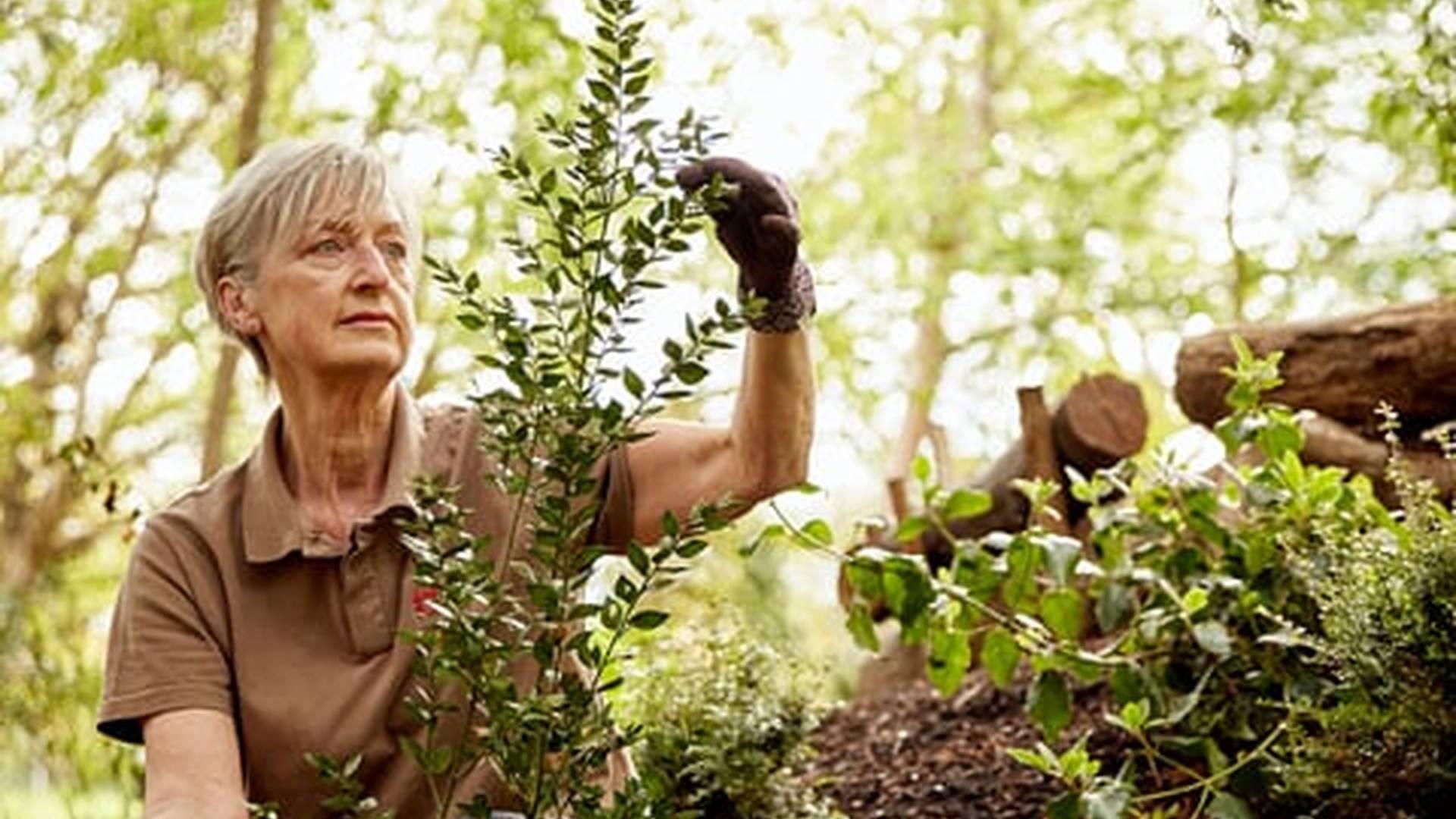 Members' Week: photo