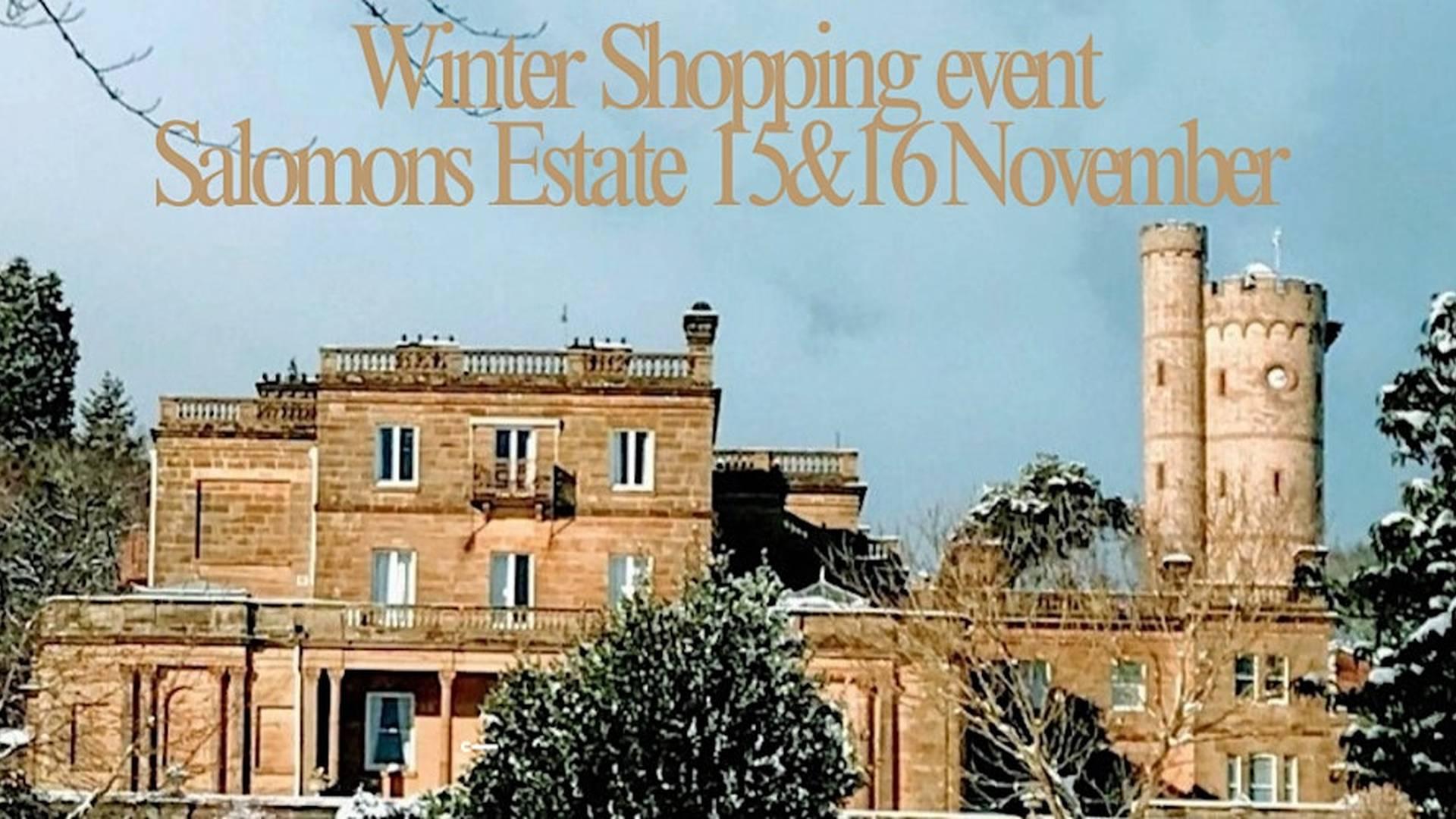 Beautiful Festive Winter Shopping Fair ! photo