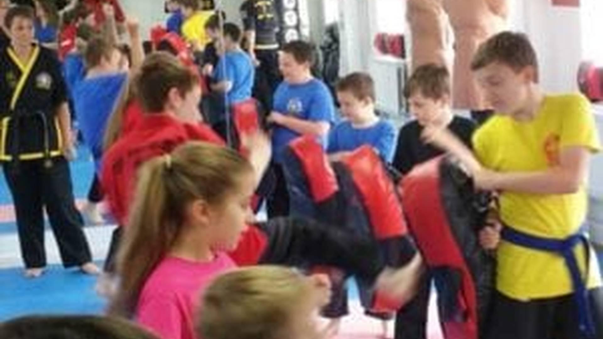 Childrens Martial Arts photo