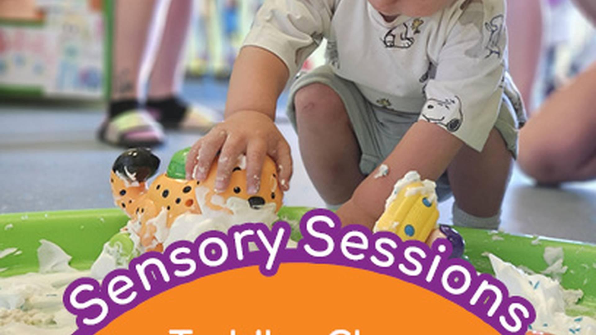 Sensory Session photo