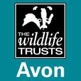 Avon Wildlife Trust logo