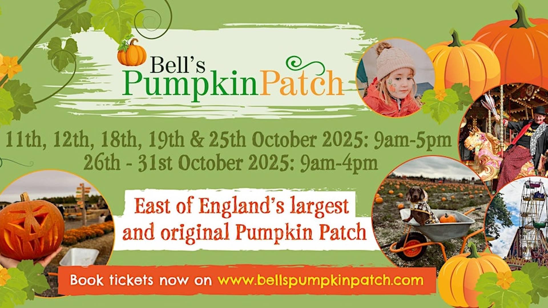 Bell's Pumpkin Patch - East of England's largest and original Pumpkin Patch photo