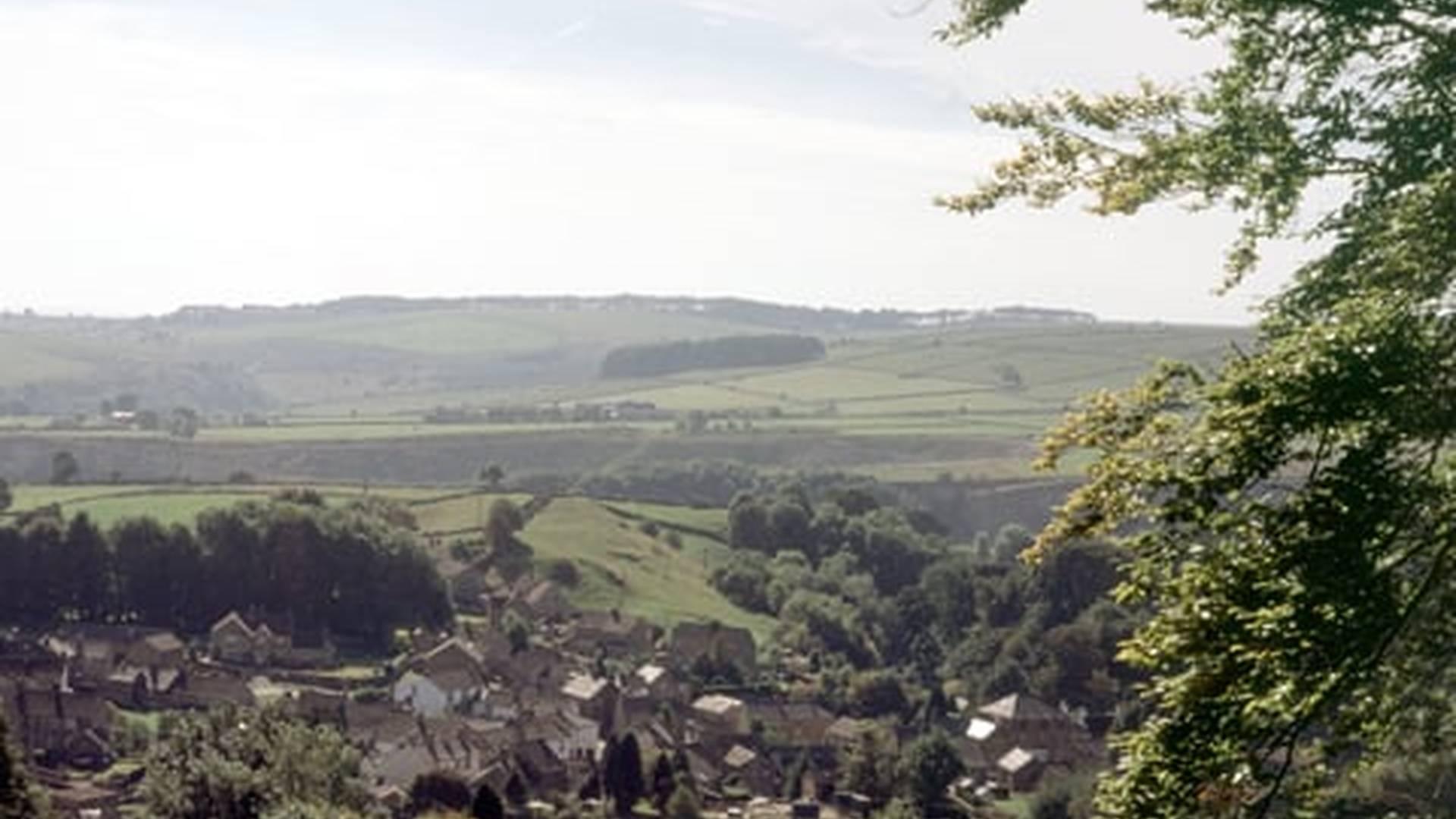 Members' Week: photo