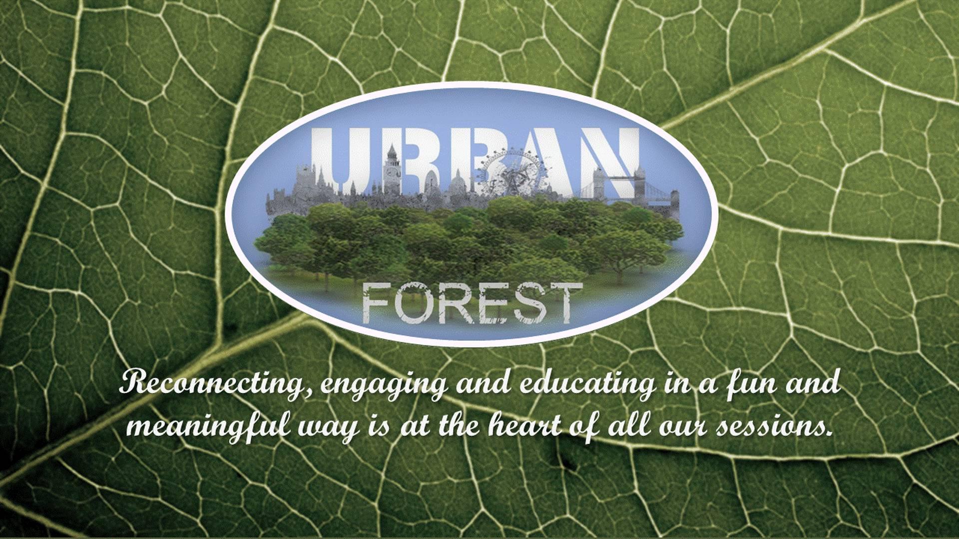 Urban Forest photo