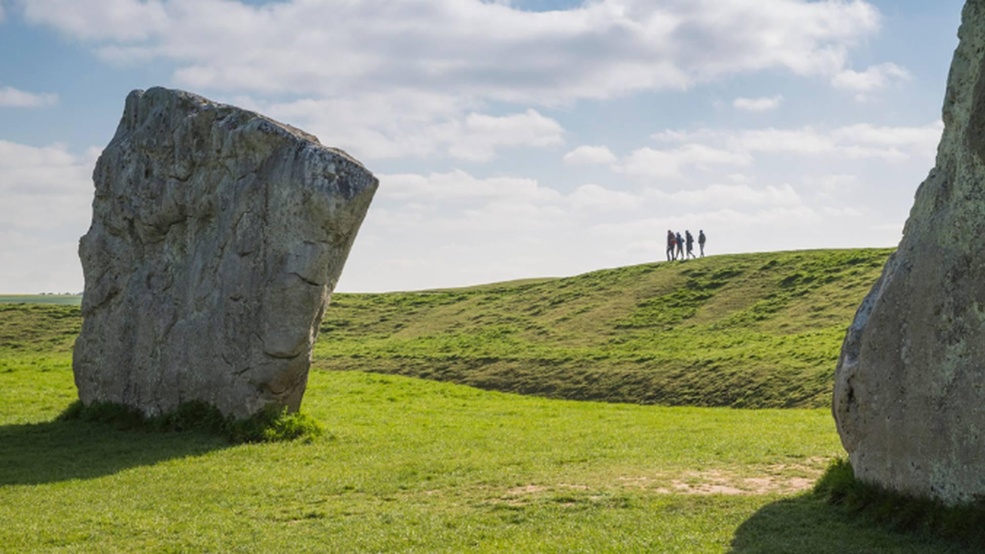 Guided Tour Of Avebury Manor Garden photo