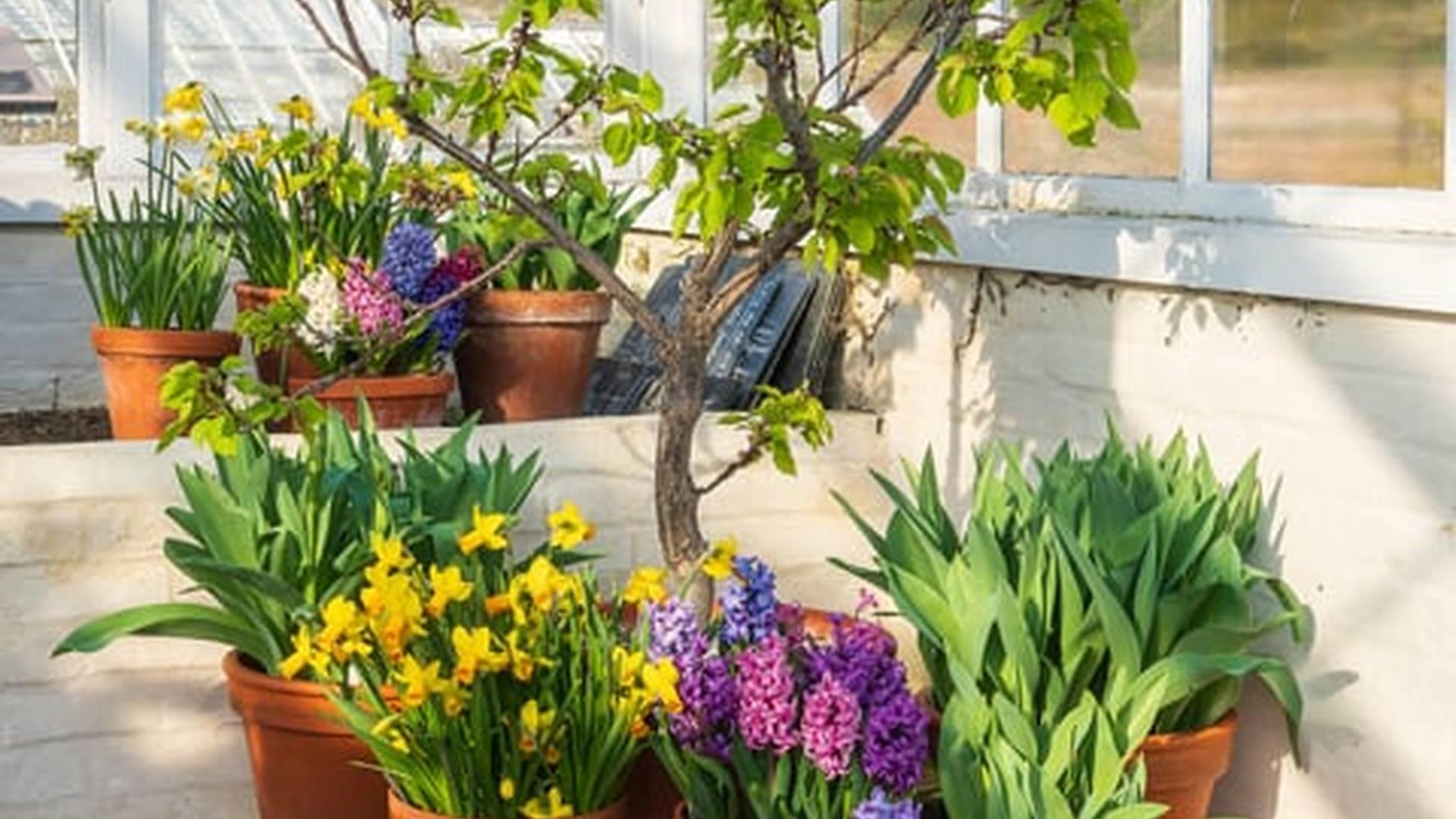 Members' Week: photo