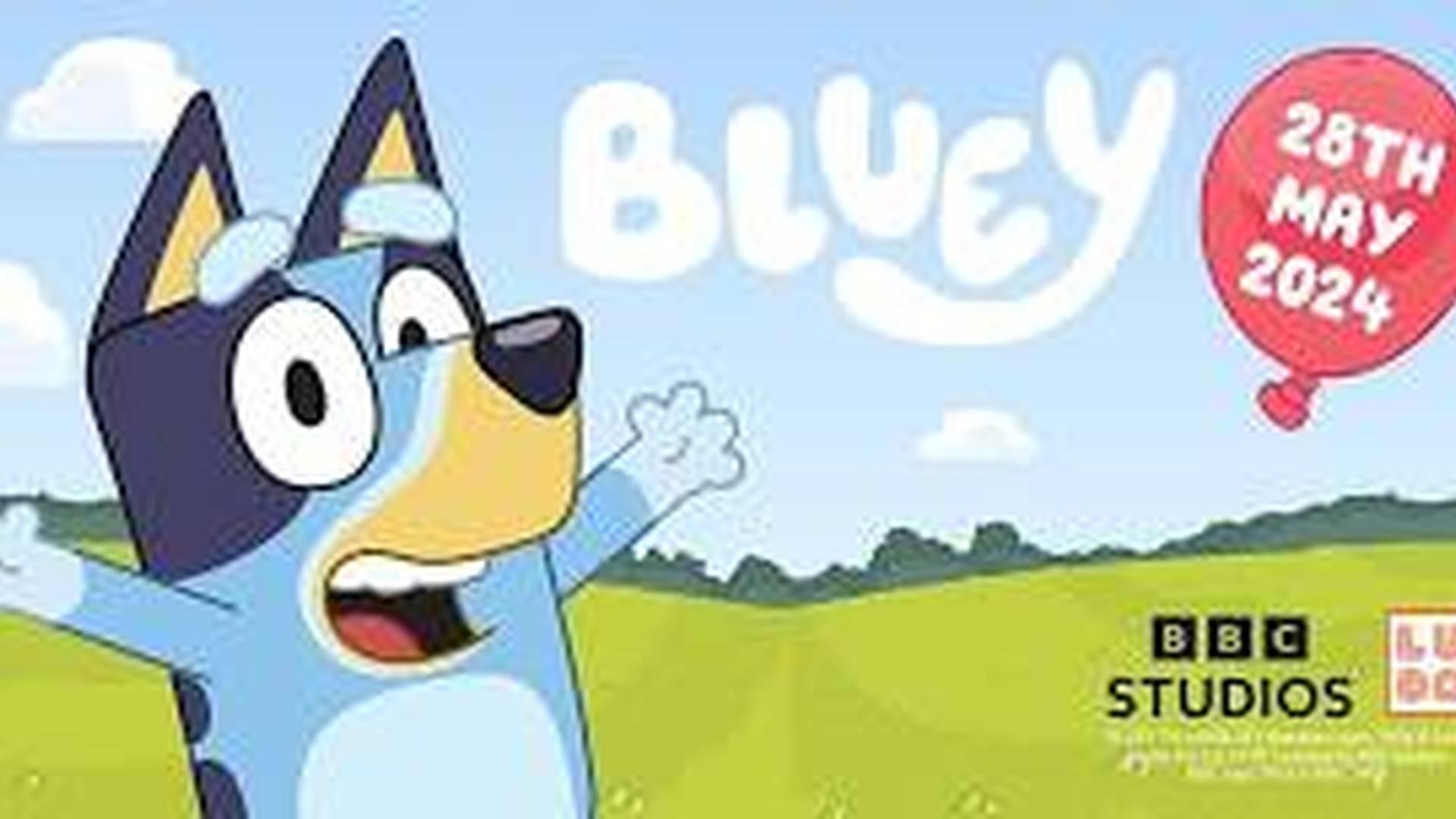 BLUEY MEET & GREET Hoop