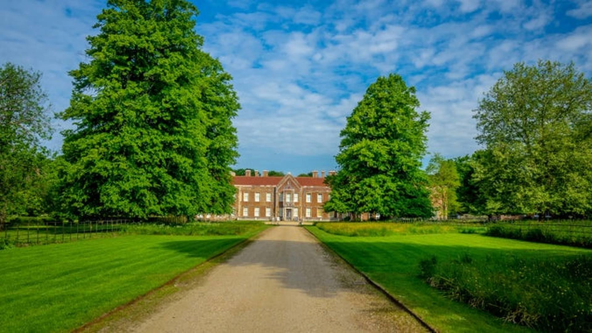 Summer Games At The Vyne photo
