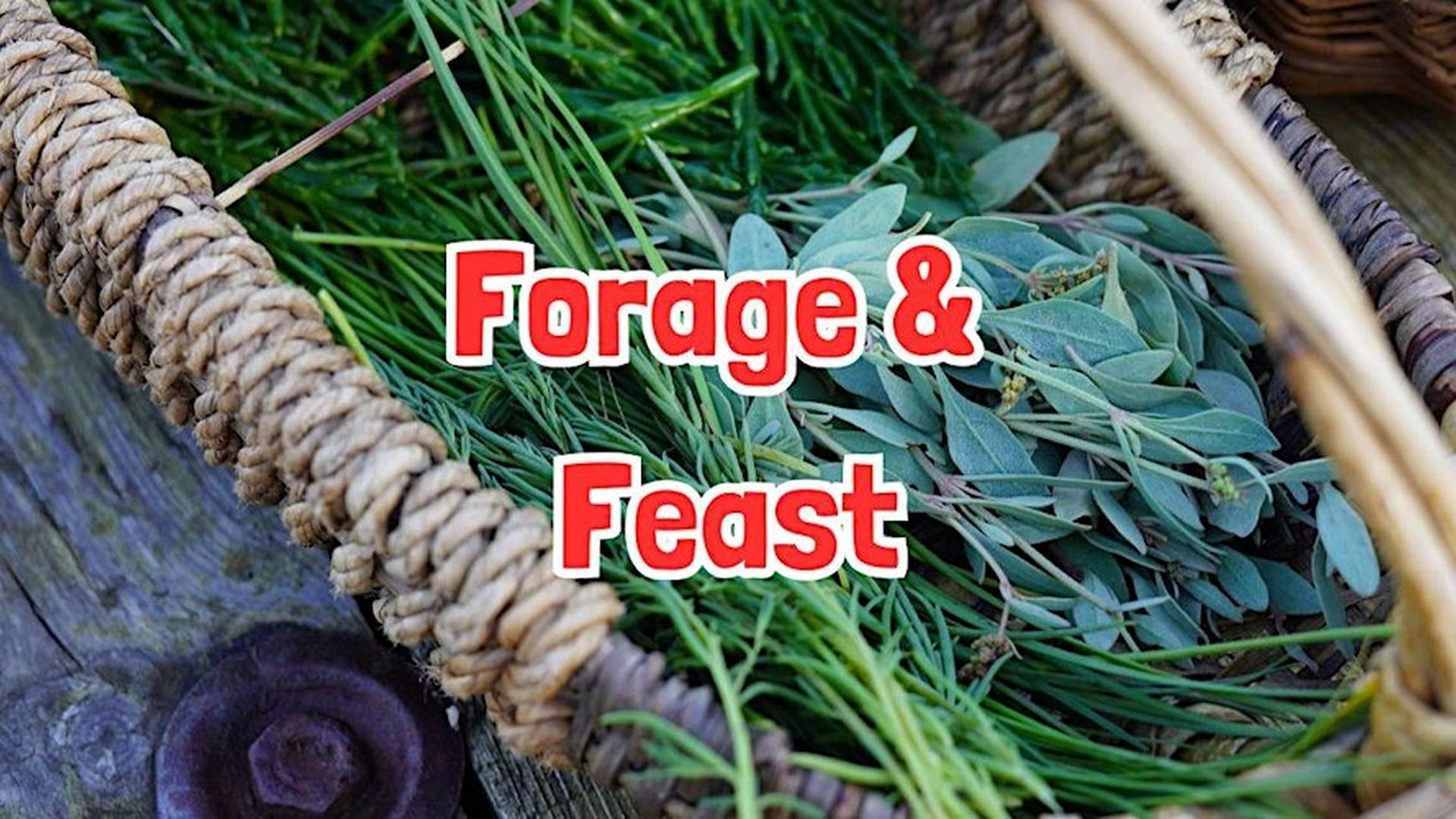 FORAGE & FEAST near Kendal (Cumbria) photo