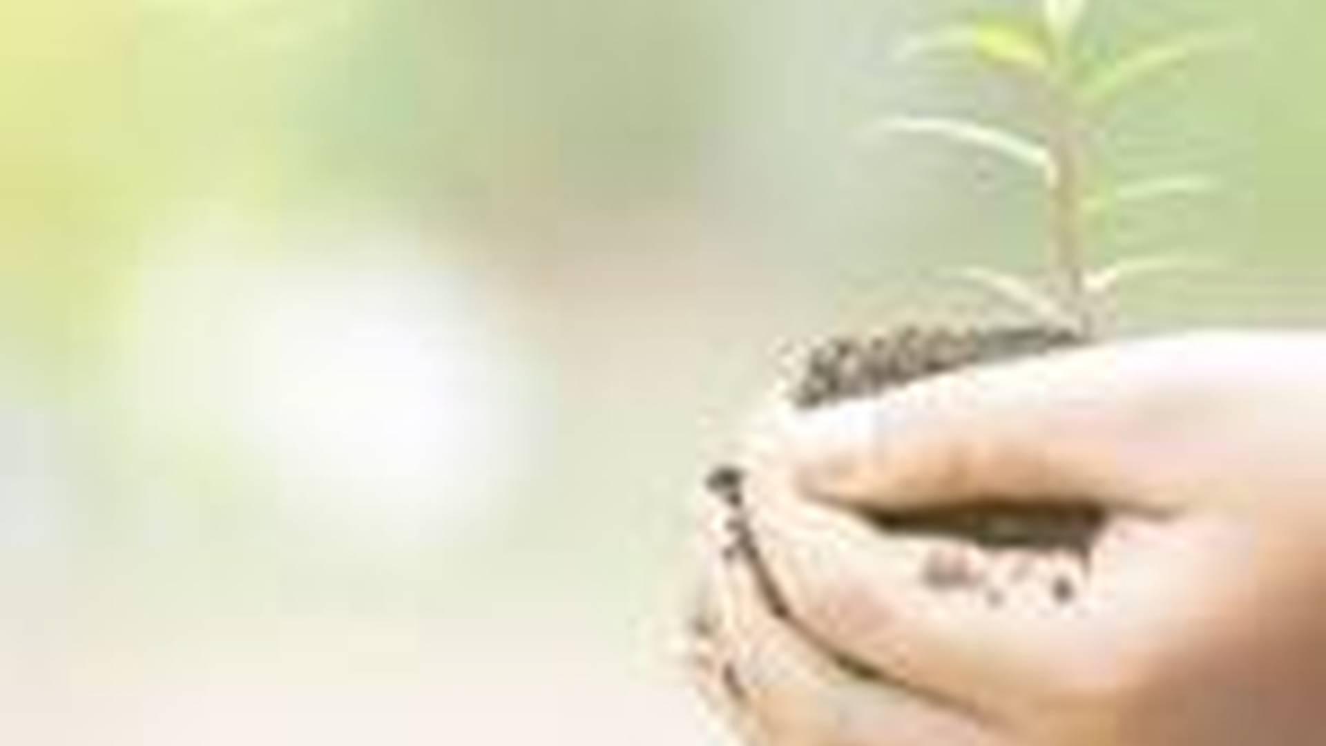 LITTLE SHOOTS - Outdoor baby and Pre-school group. photo