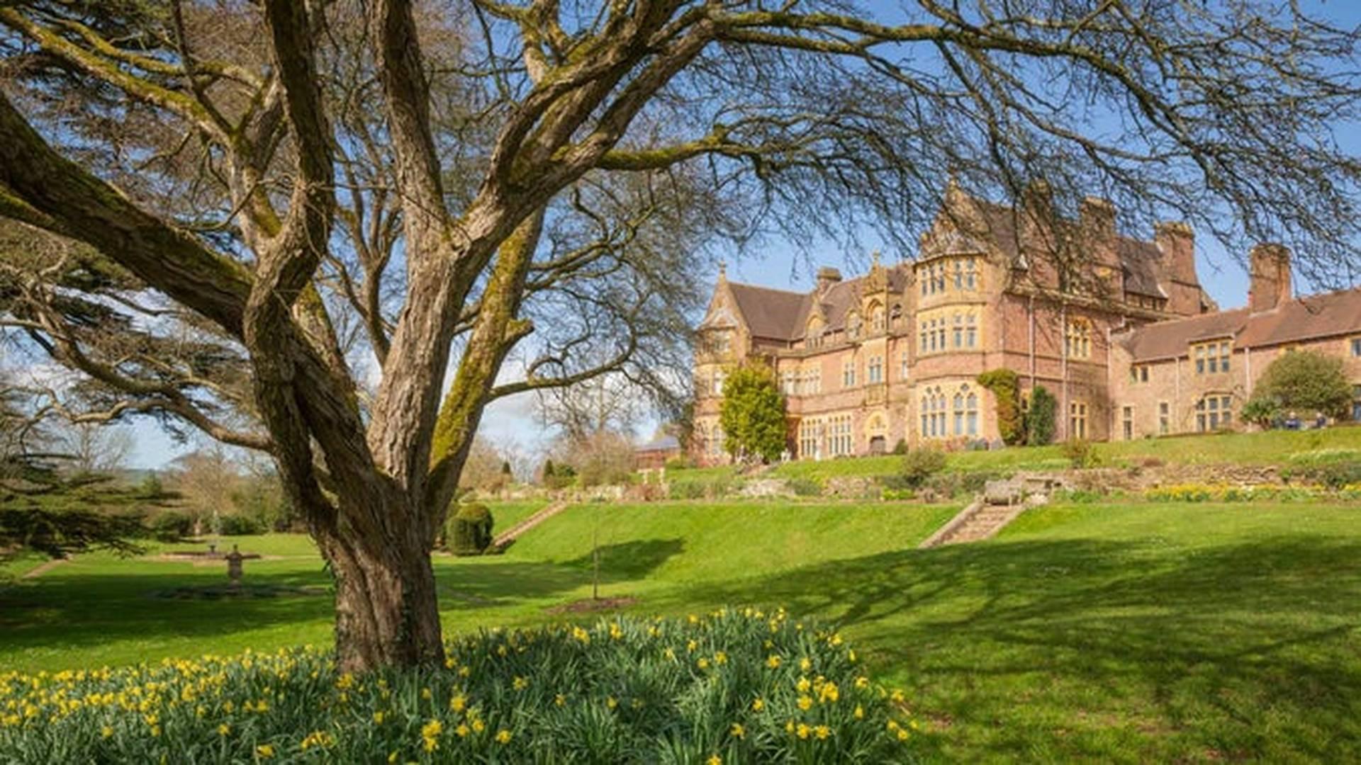 The Knightshayes Bulb Meadow photo