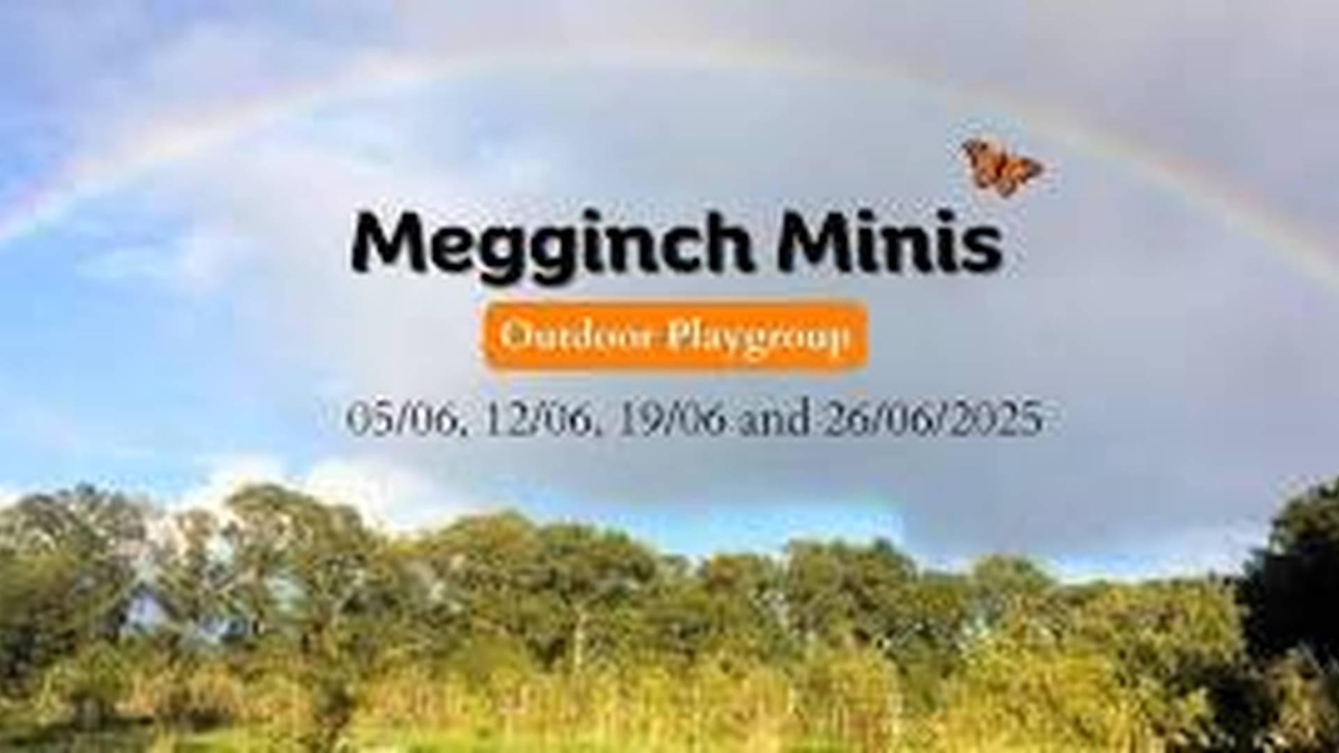 Megginch Minis – Outdoor Playgroup photo