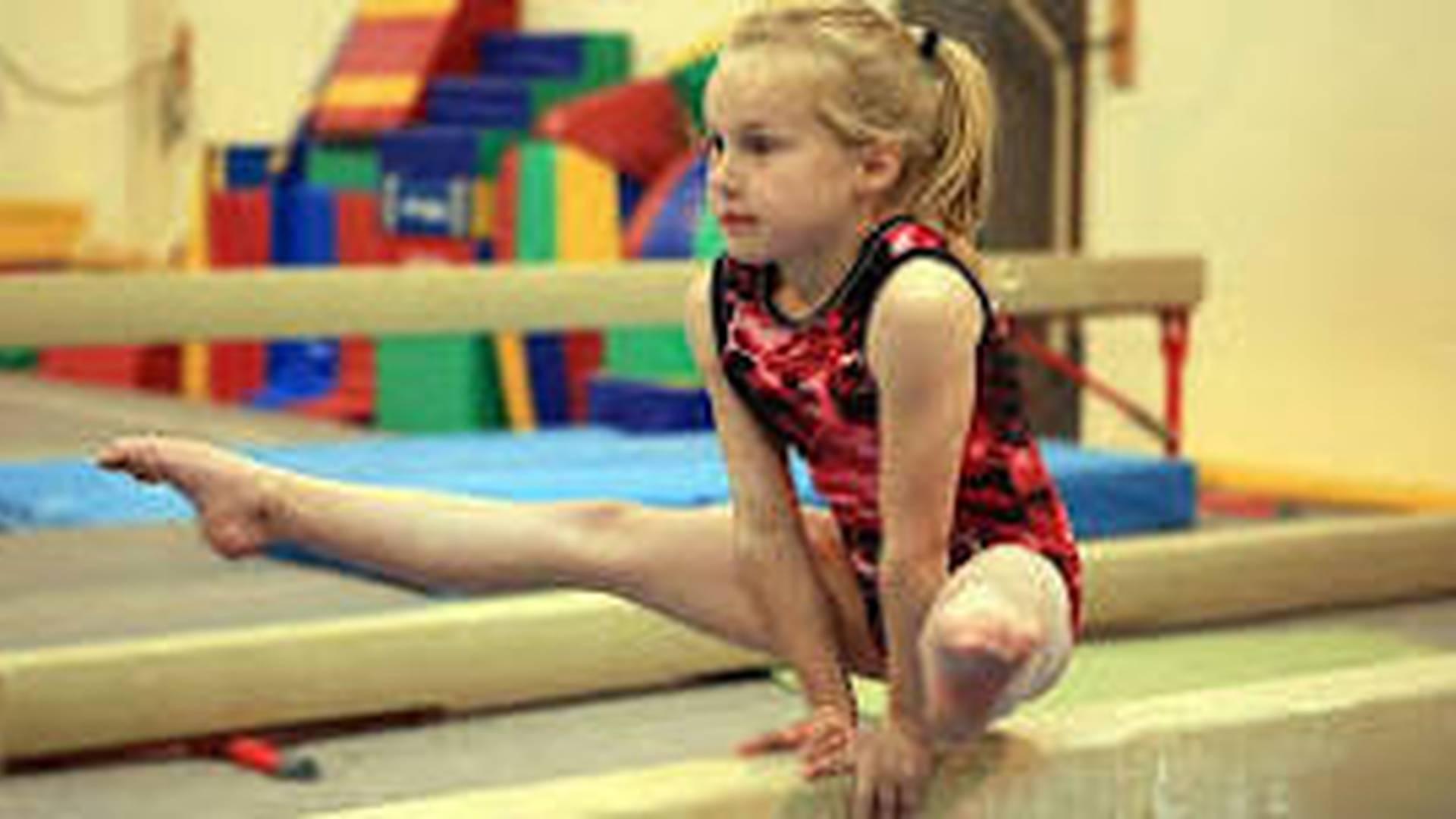 Teaching Gymnastics in the PE Curriculum photo