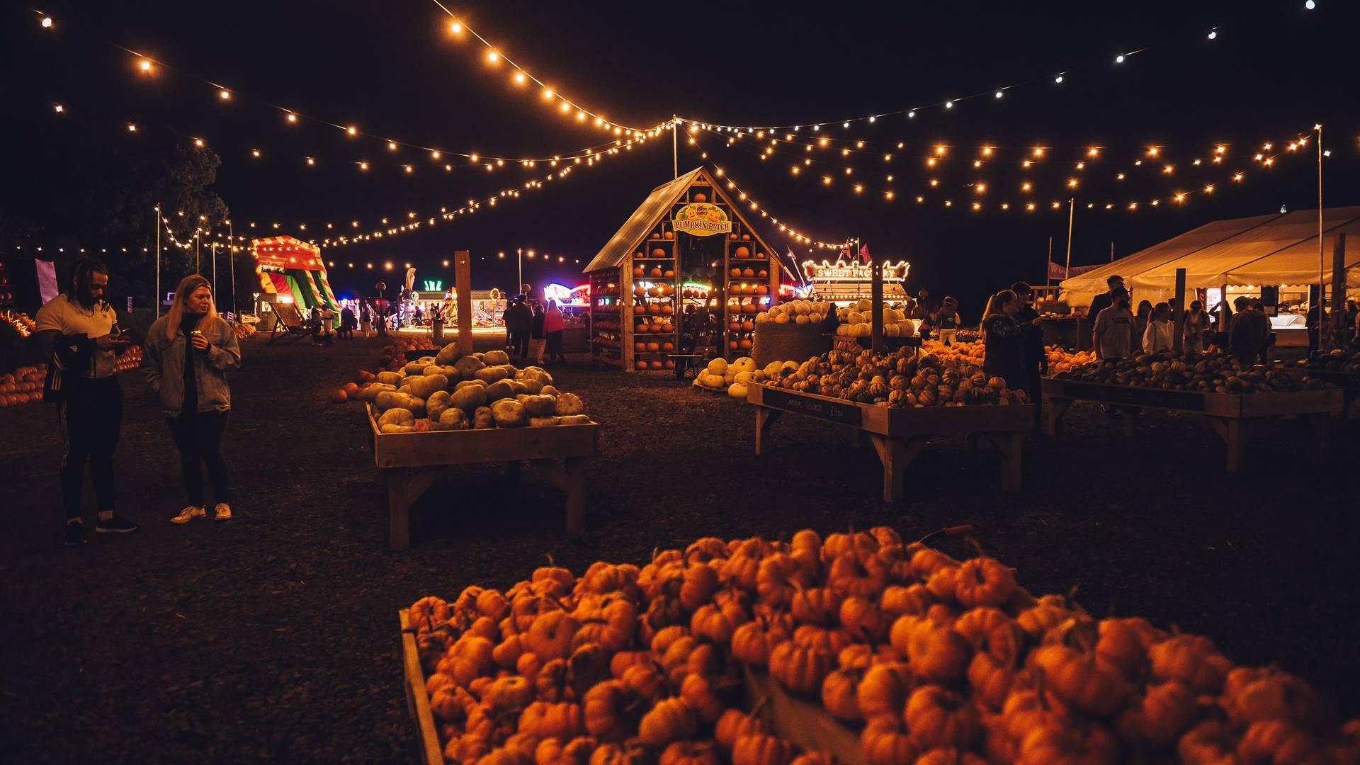 Pumpkin Patch Nights photo