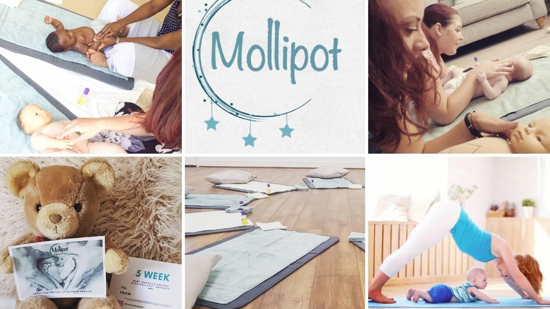 Mollipot photo