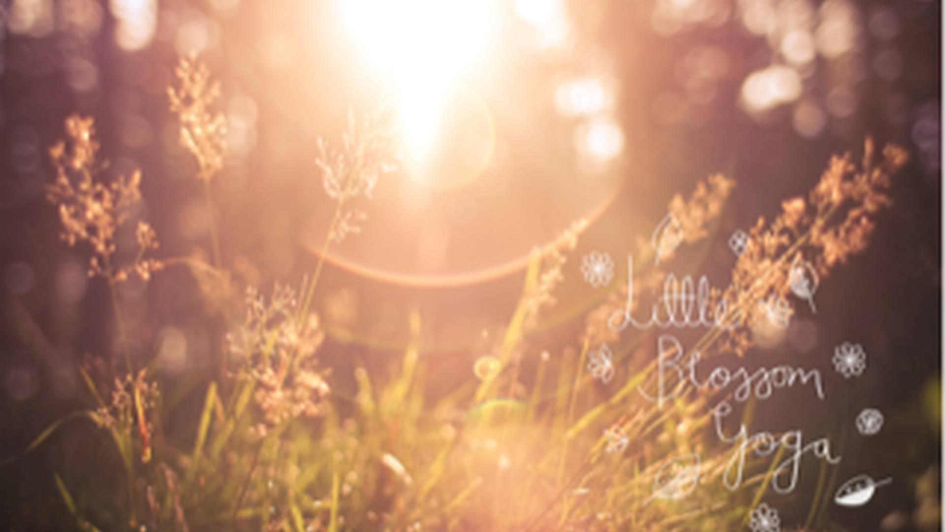 Little Blossom Yoga photo