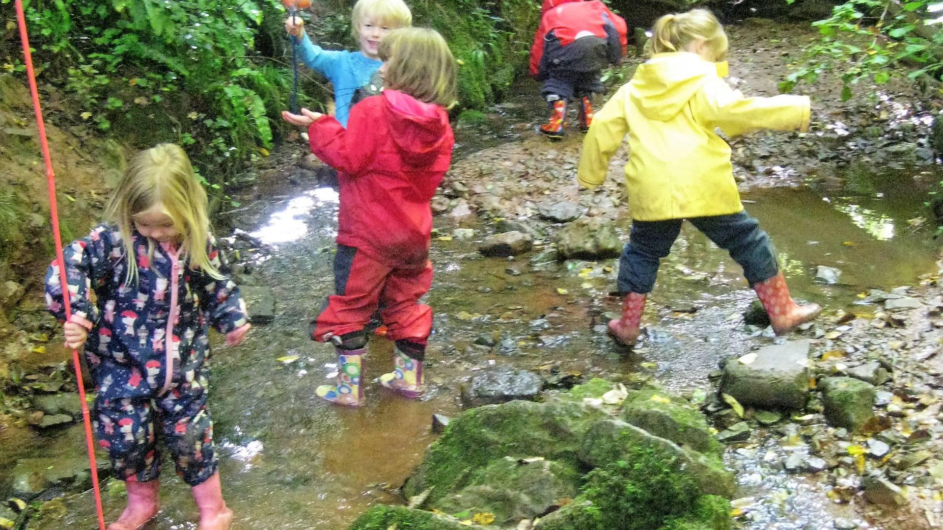 Wild Wood Bristol Forest School photo