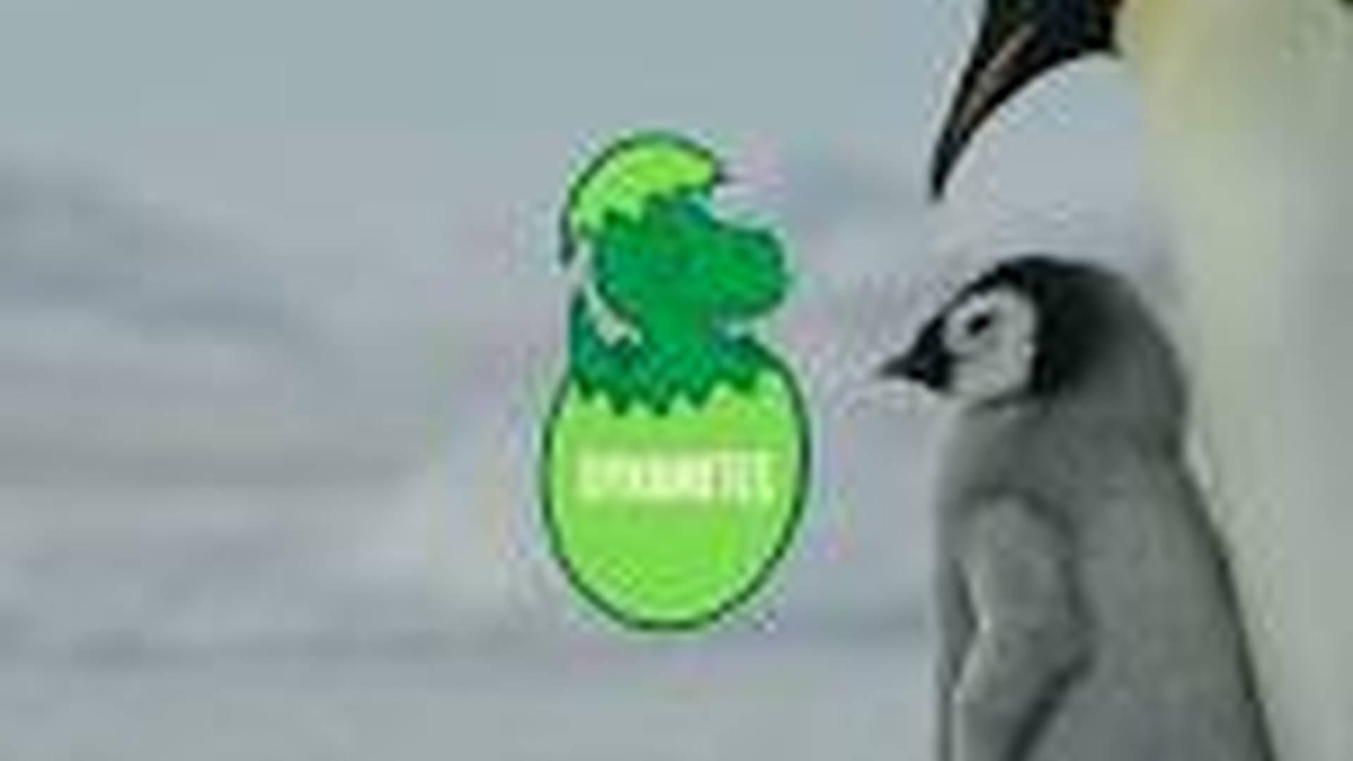 DYNAMOS: PERFECT PENGUINS photo