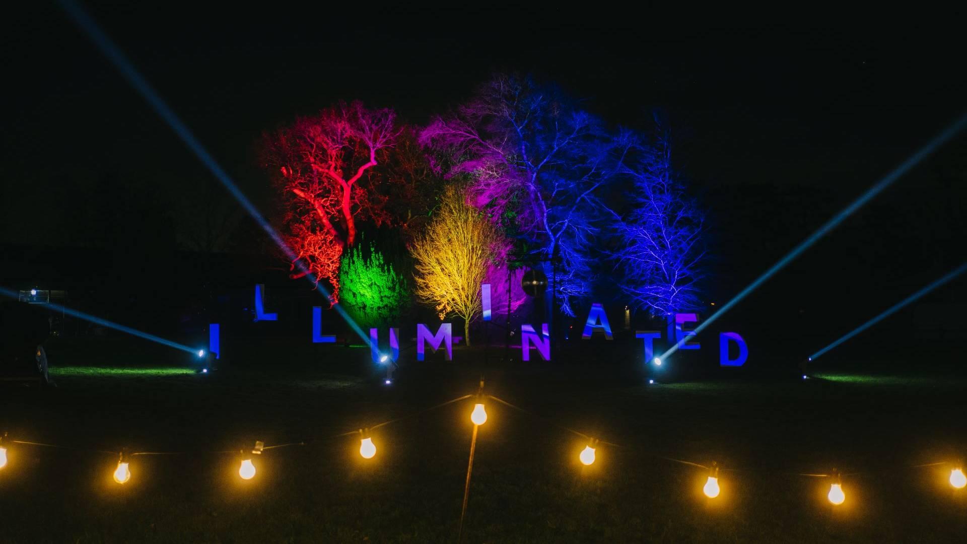 Stockwood Illuminated photo