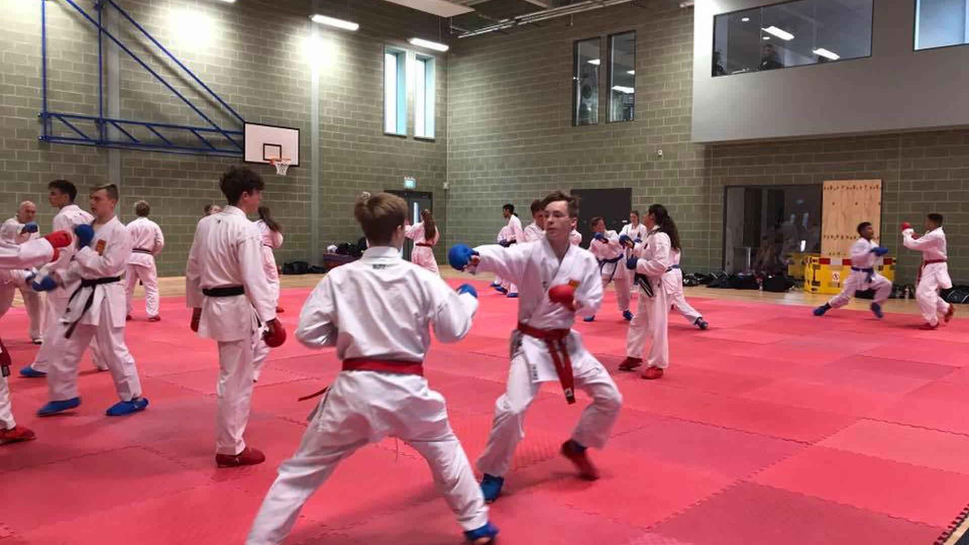 Chikara Wado Karate photo