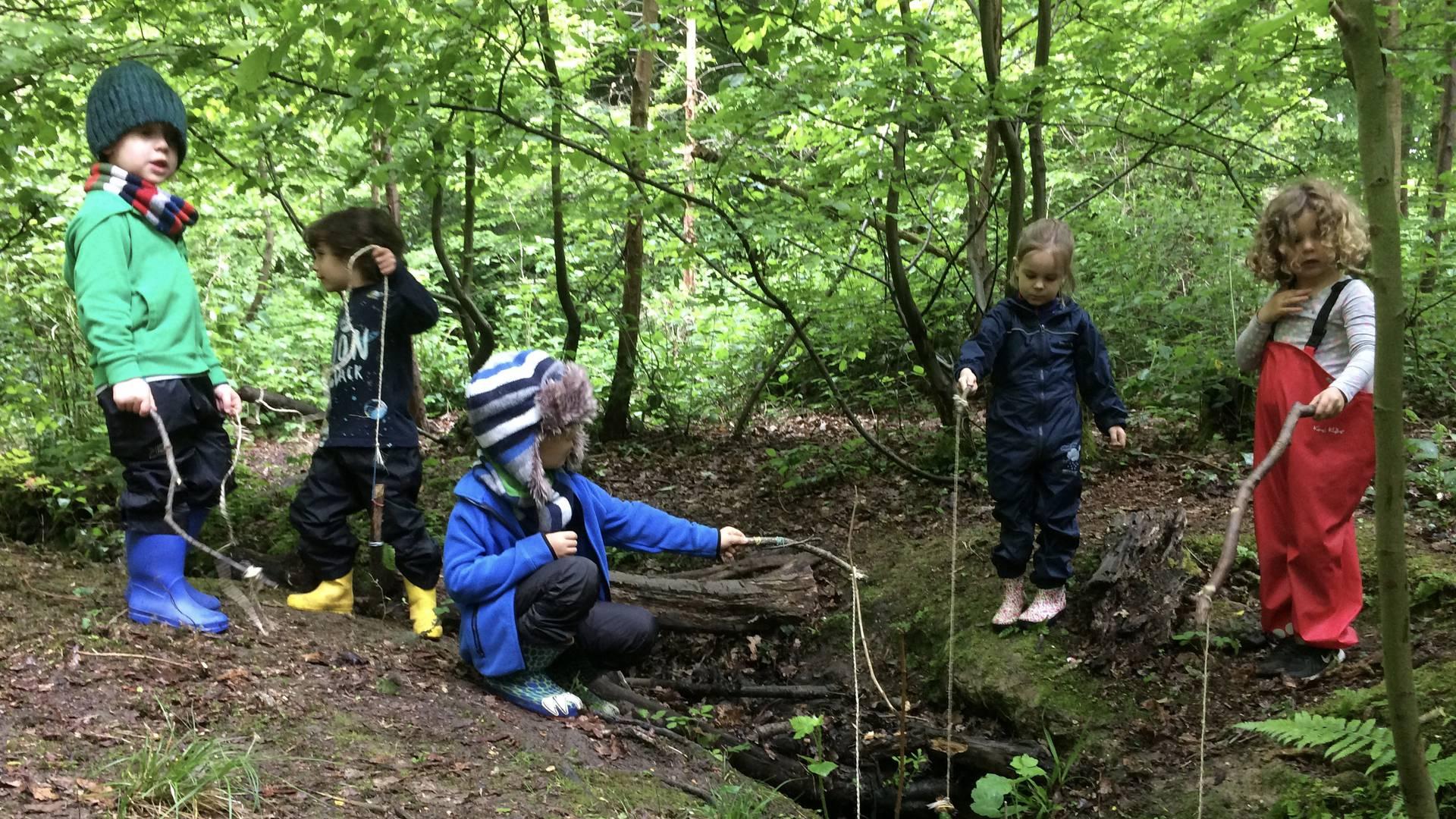 Fun In The Forest photo