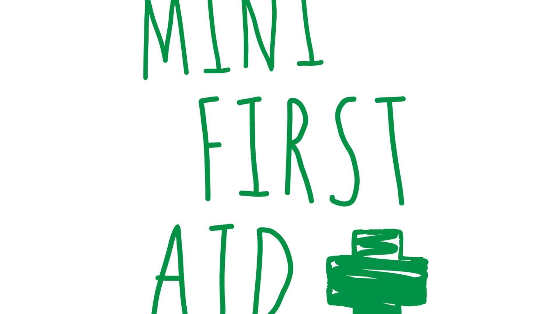 Mini First Aid photo