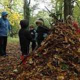 Activity image