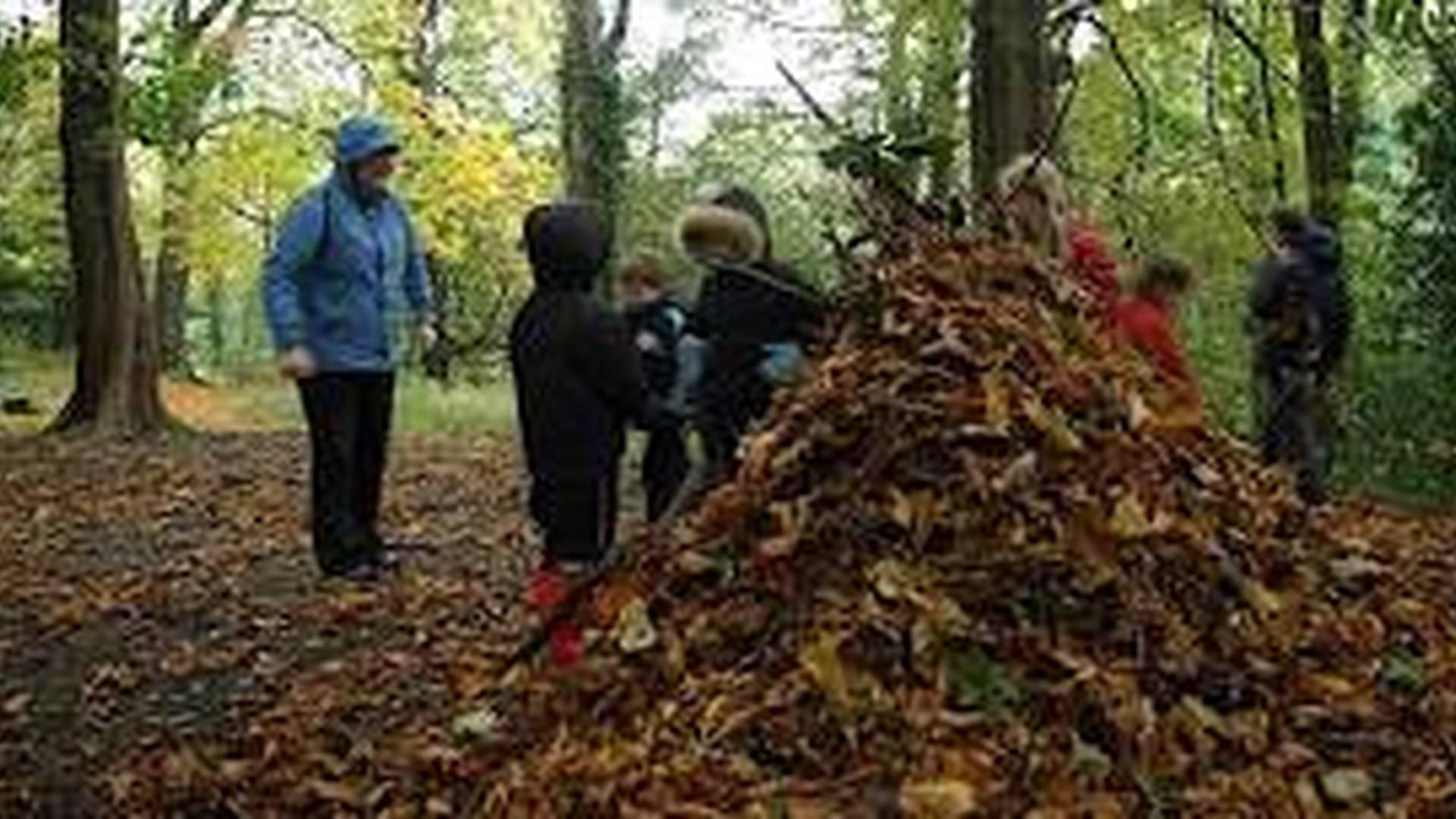 Bushcraft for 5 to 10 year olds photo