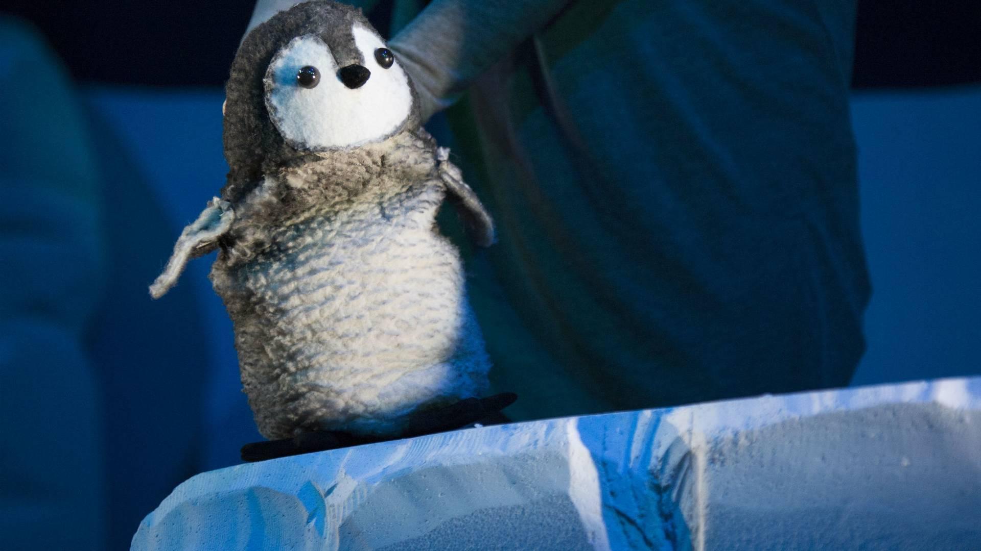 Me…, Little Angel Theatre: Obscenely adorable puppet story about a baby penguin photo