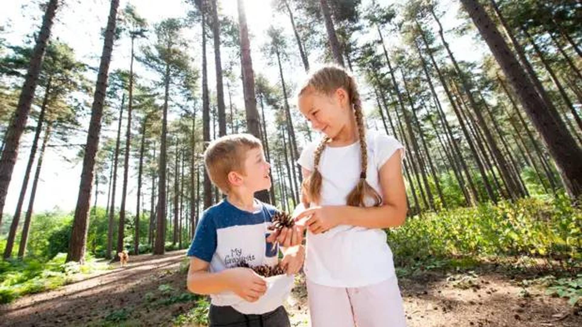 Families Go Wild At Black Park photo