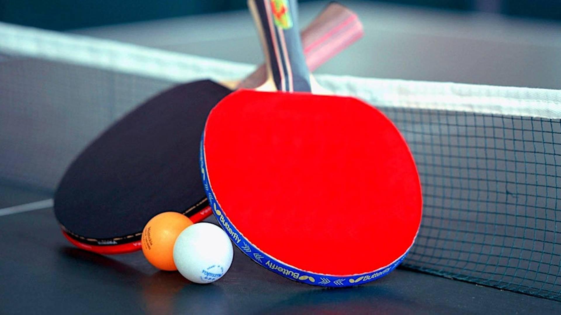 Binfield Rackets Table Tennis - FREE Taster Session! photo