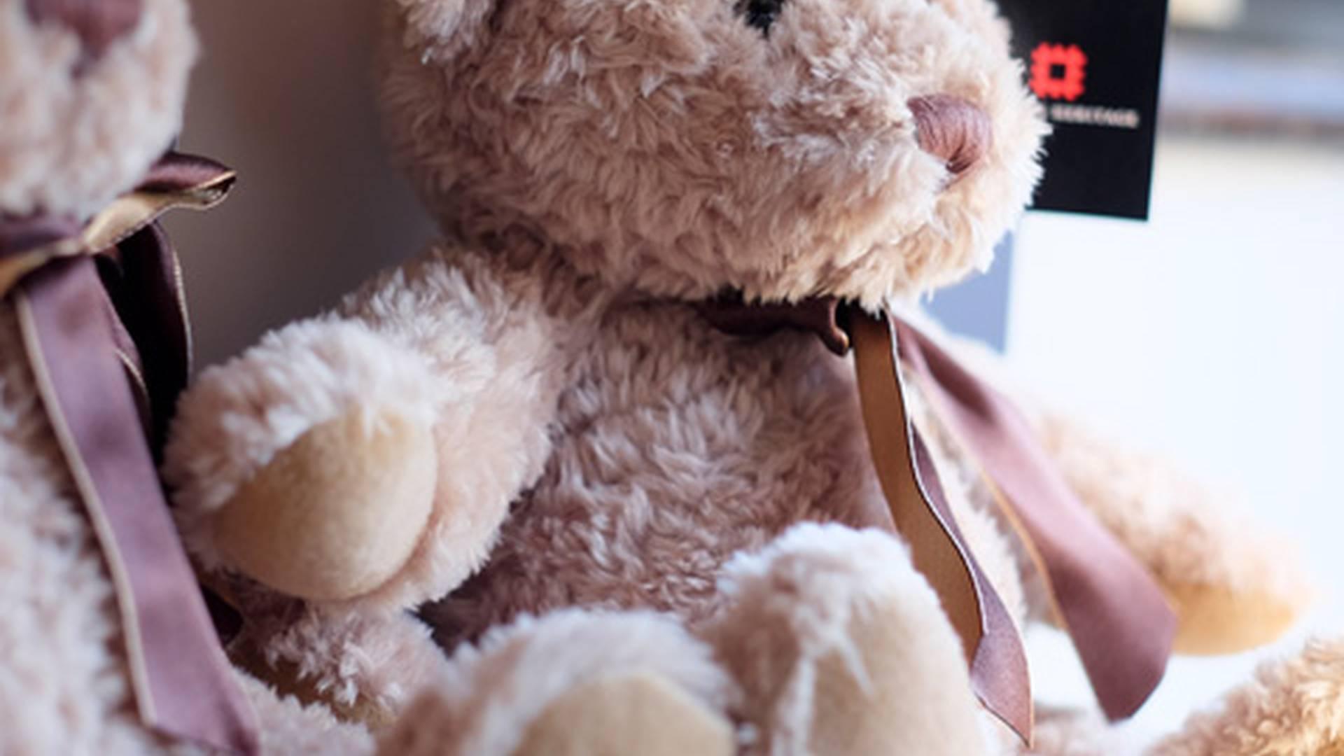 Teddy Bear's Picnic At Gainsborough Old Hall photo