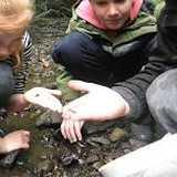 Activity image