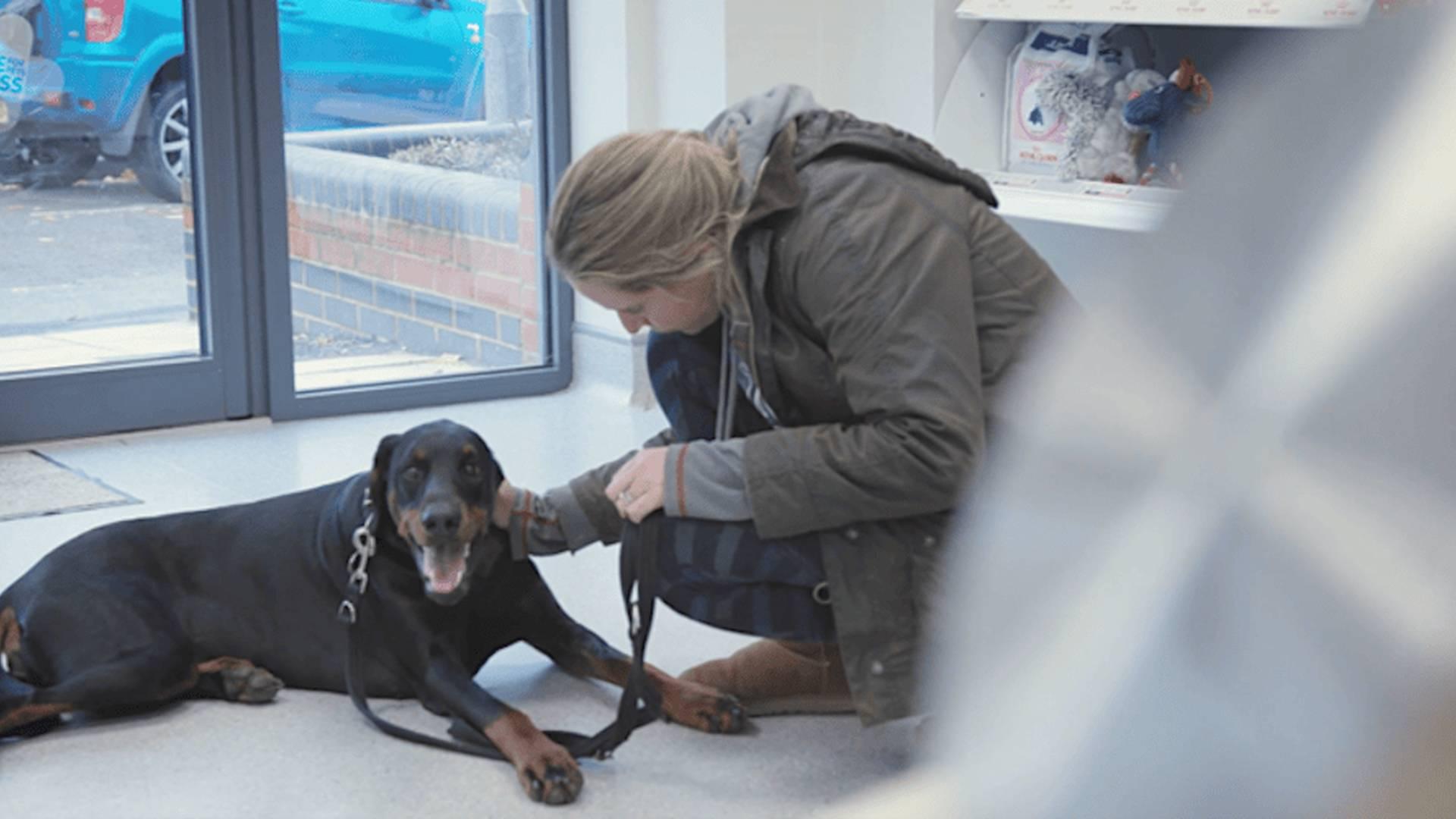 Pet Loss Training Day-Veterinary Professionals- Burford photo